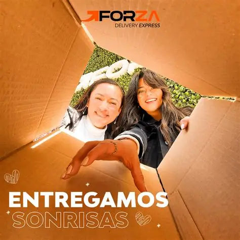 Seguro de envió